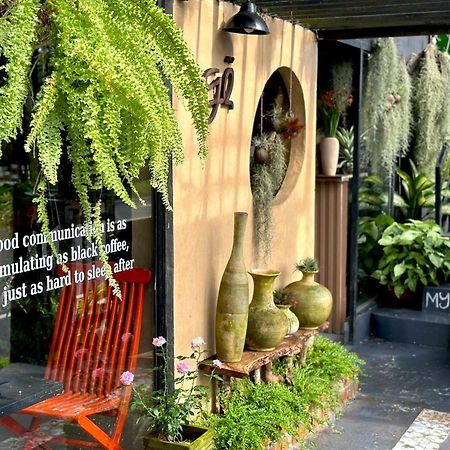 Lilac Cottage Homestay Дуонг-Донг Экстерьер фото