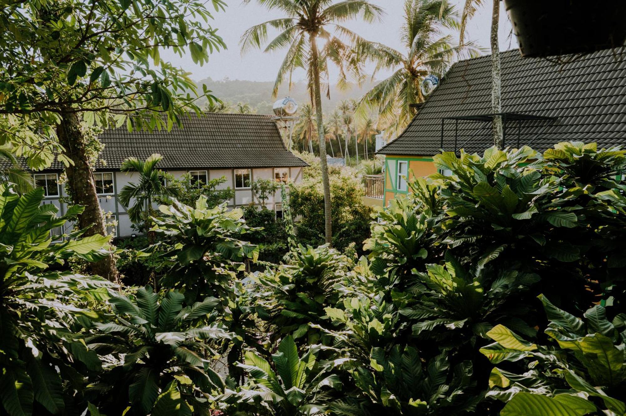 Lilac Cottage Homestay Дуонг-Донг Экстерьер фото