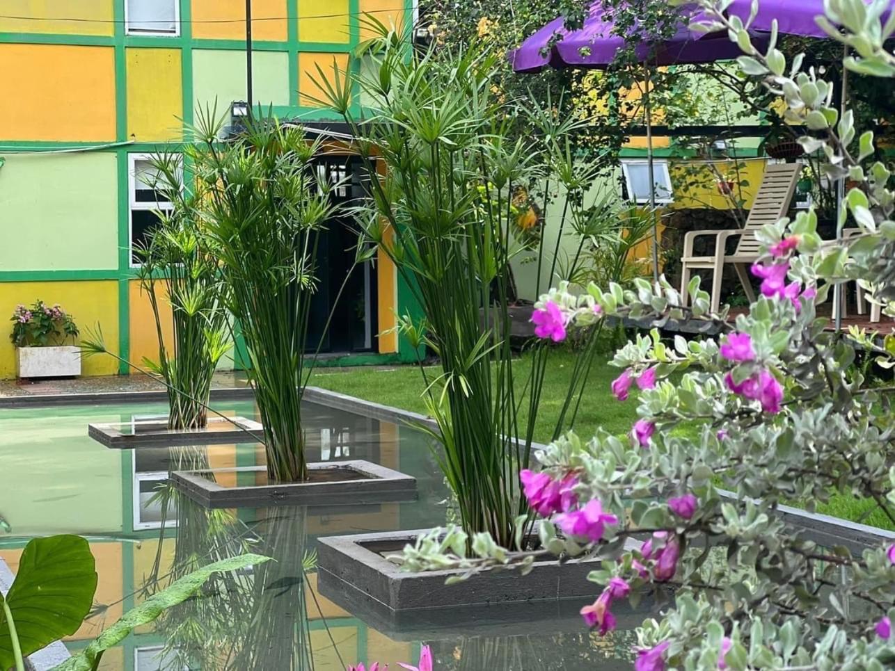 Lilac Cottage Homestay Дуонг-Донг Экстерьер фото
